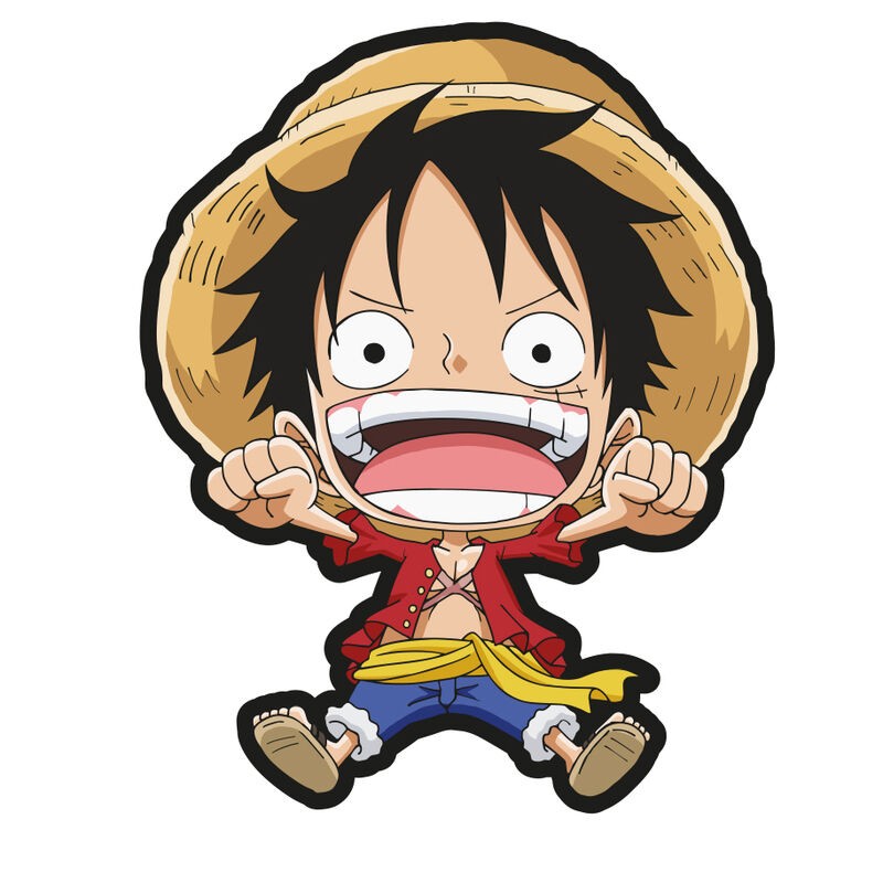 Cojin One Piece 40 cm