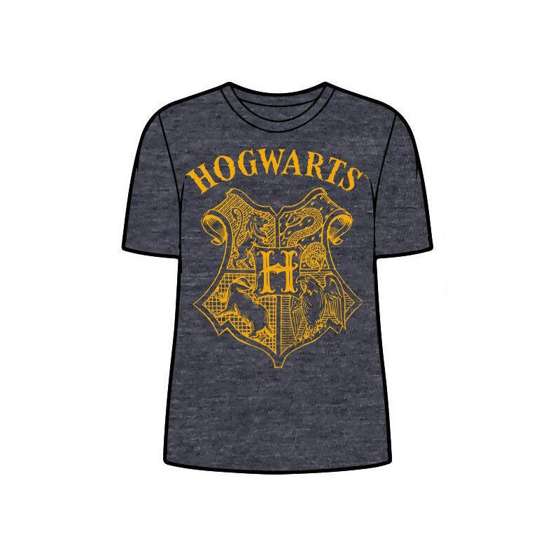 Camiseta Hogwarts Harry...